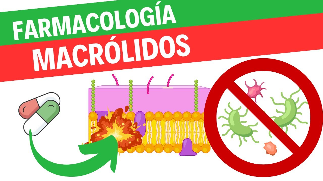 Farmacología de los macrólidos
