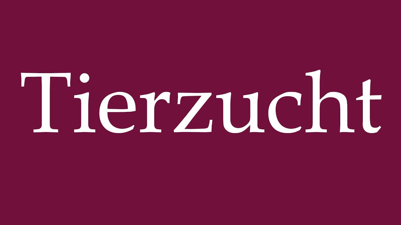 How to Pronounce ''Tierzucht'' (Animal breeding) Correctly in German