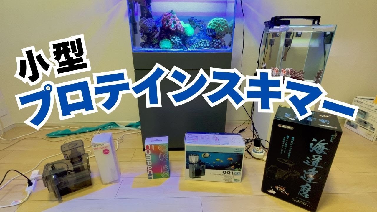 小型プロテインスキマーどれつかう