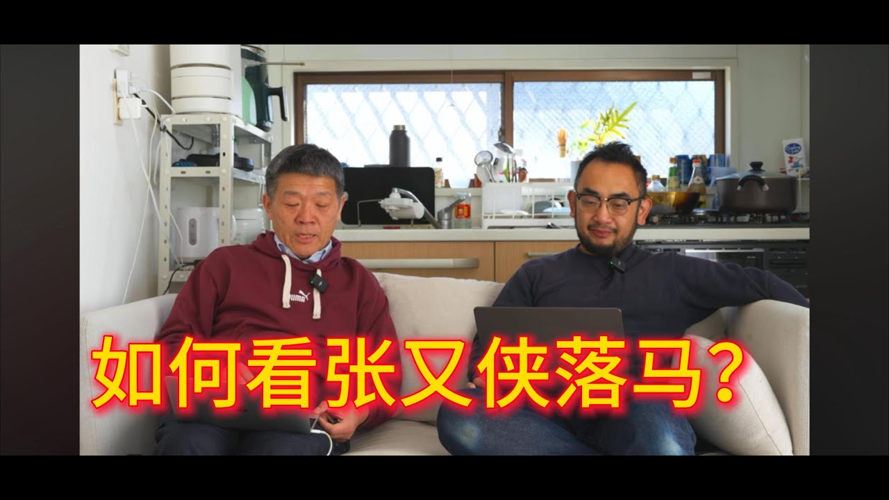 如何看张又侠落马？｜刘振立｜习近平｜魏玲灵｜三个水枪手｜三枪内参｜李厚辰｜伍雷｜贾葭
