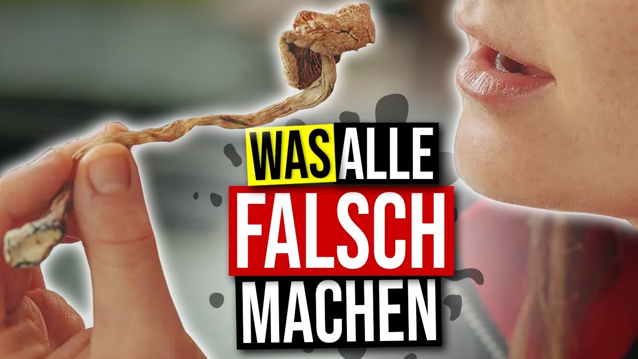 Die Wahrheit über Psychedelika: Wirkung, Risiken & Möglichkeiten