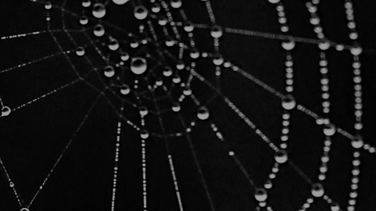 Scary stories from the dark web *chatgpt*