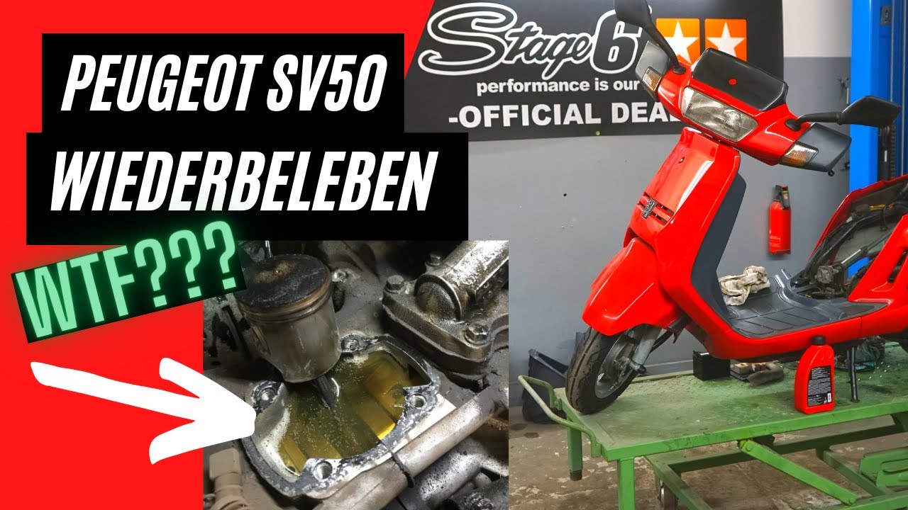 Peugeot SV50 Roller nach langer STANDZEIT zum LAUFEN bringen!