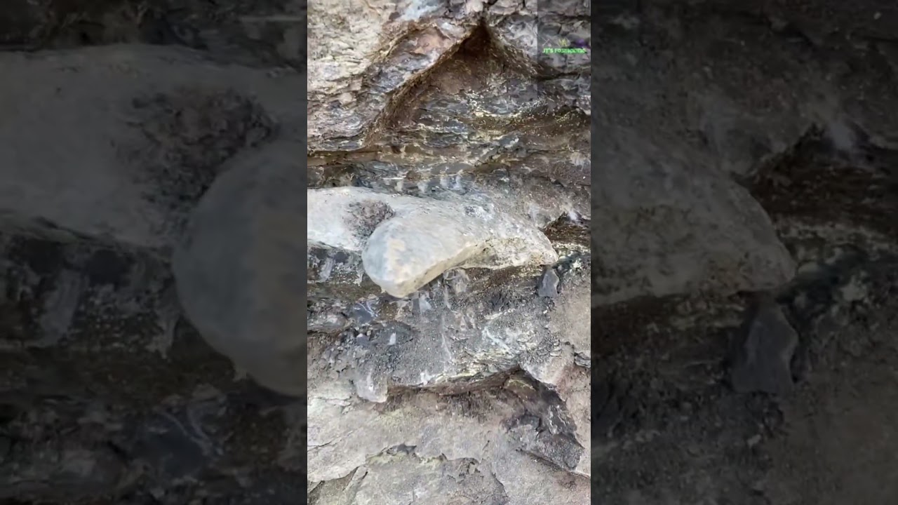 Glendonite Extraction with JUST a Screwdriver!