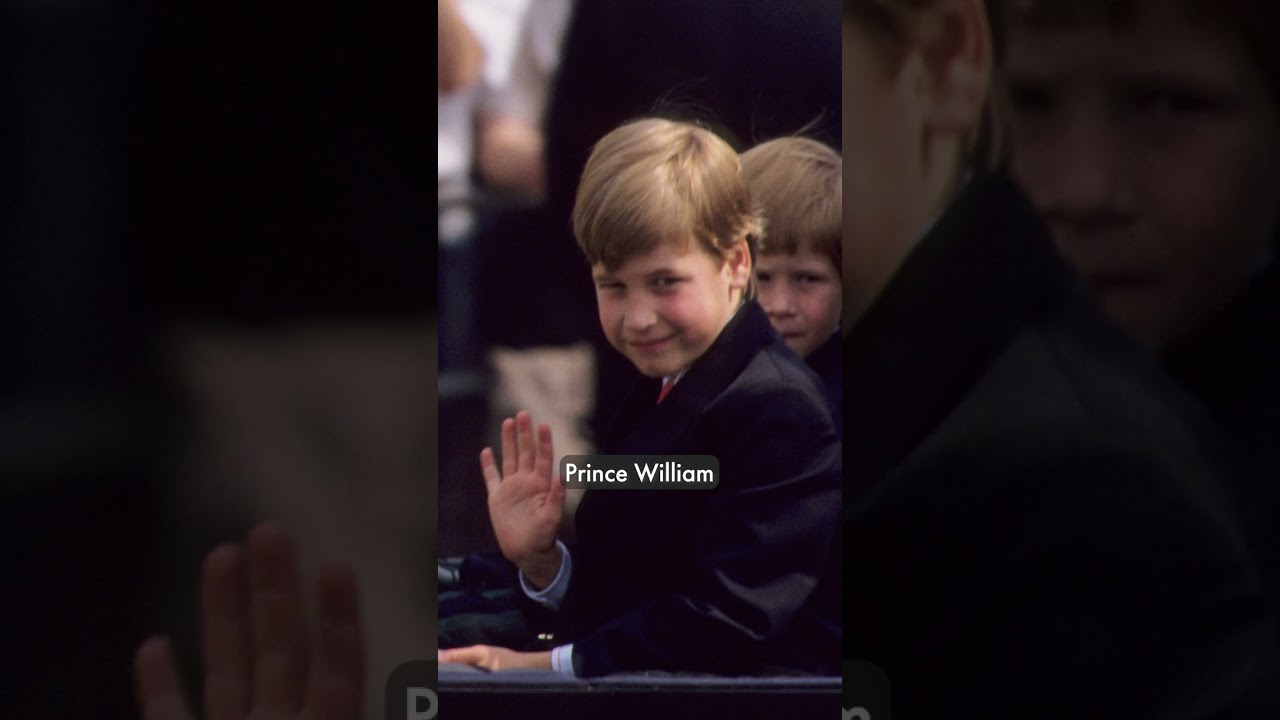 SEE which of Prince William's children looks most like their father | HELLO!