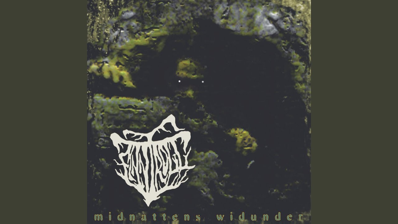 Midnattens Widunder