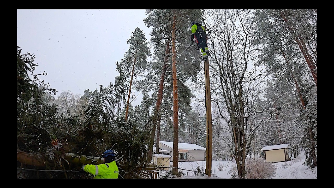 Piti pyytää Elveran herrat apuun. Pro Finnish Lumberjack And Husqvarna 572 xp.