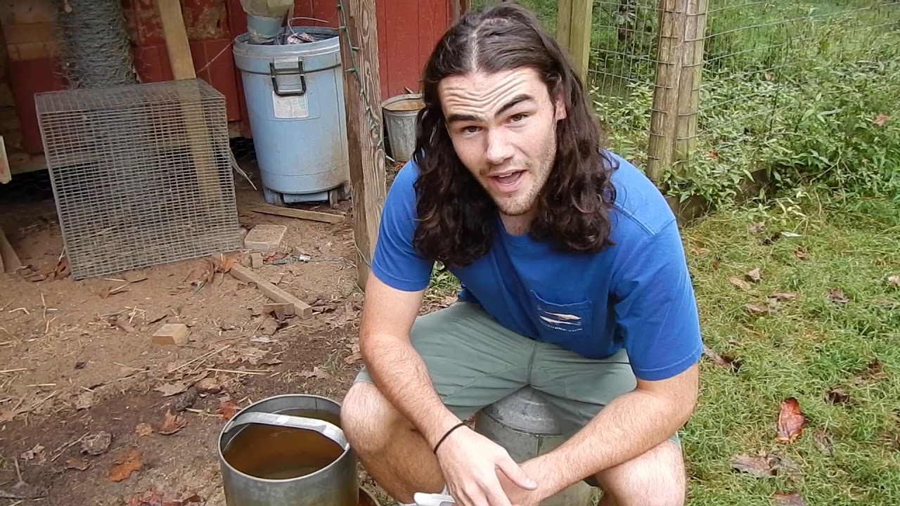 Peacocks (Deworming)!!