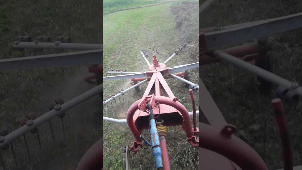 Steyr 50 la greblat.