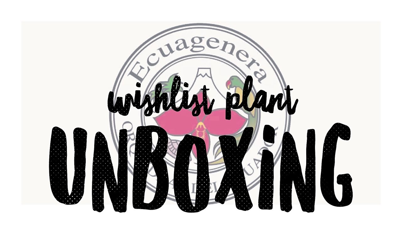 WISH LIST PLANT UNBOXING | Ecuagenera Unboxing