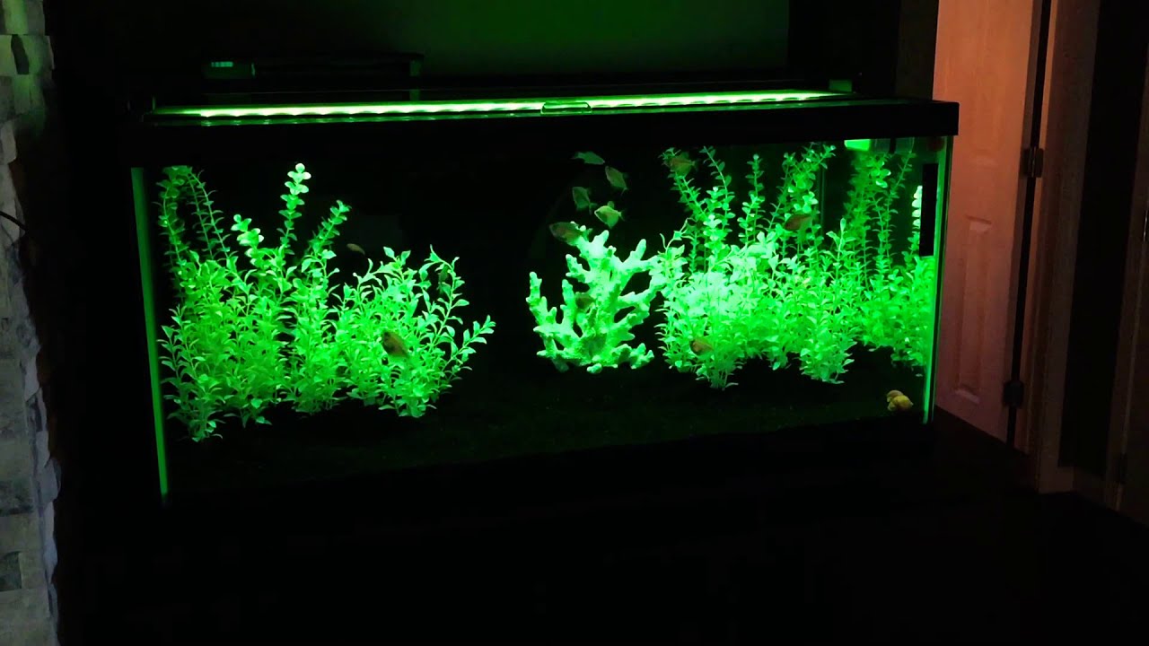 Color changing system