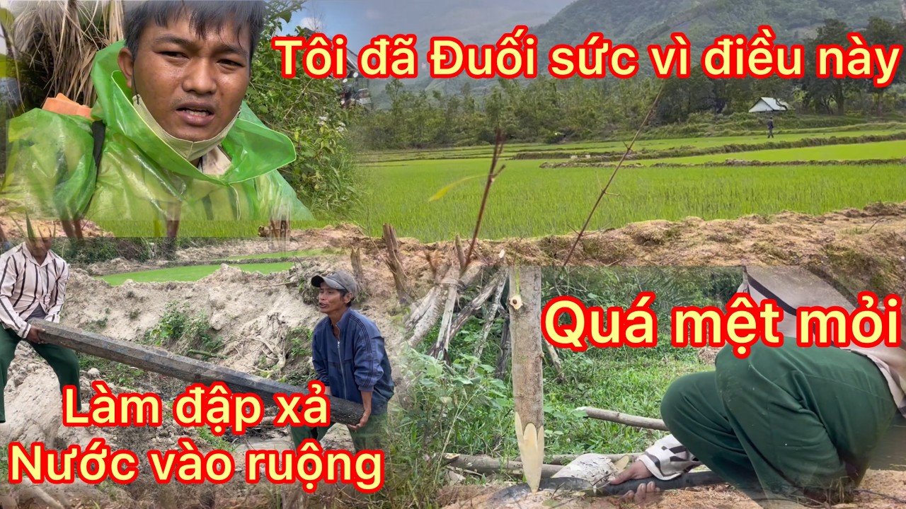 Một ngày làm việc rất là mệt mỏi của dân tộc Việt Nam 77
