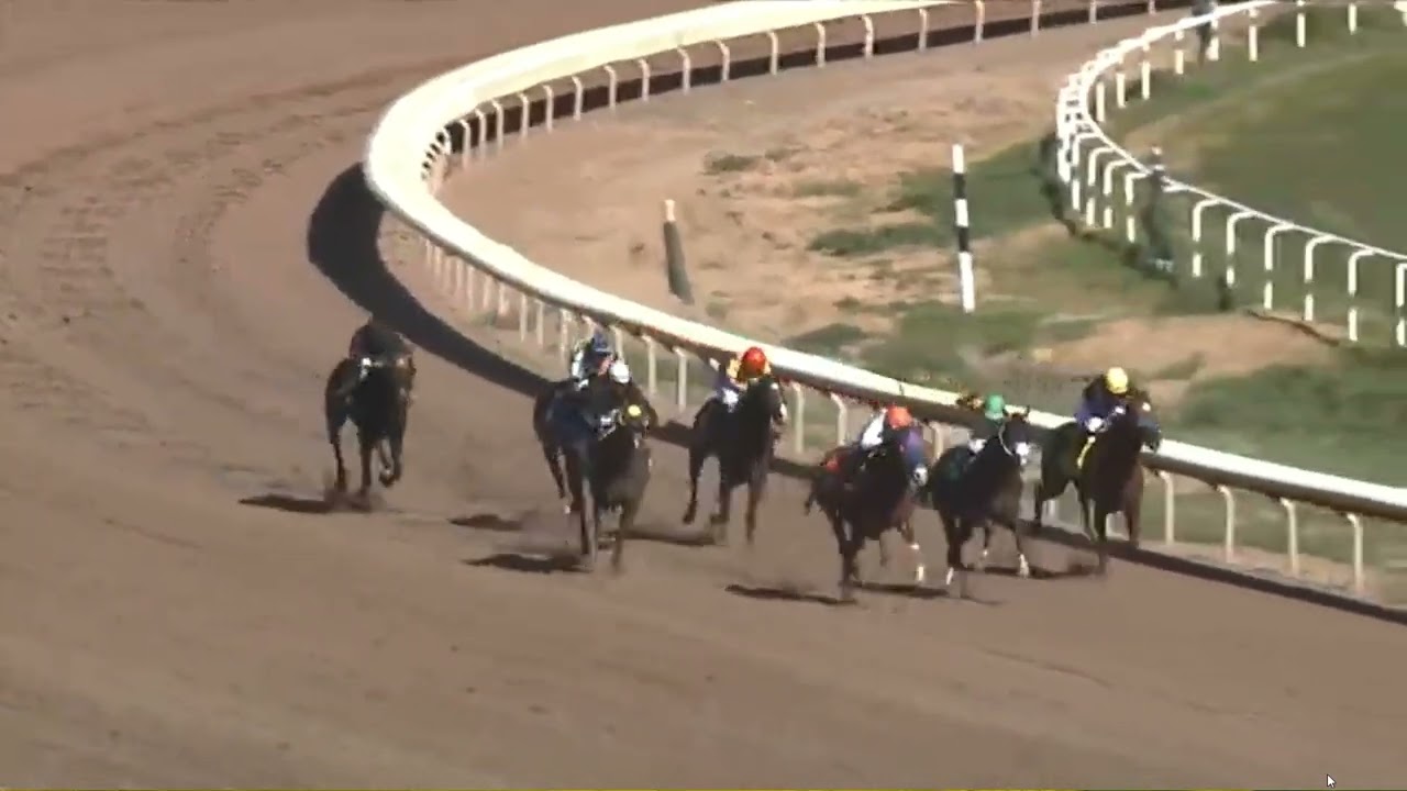 R4  Turf Paradise 19 Feb 2026