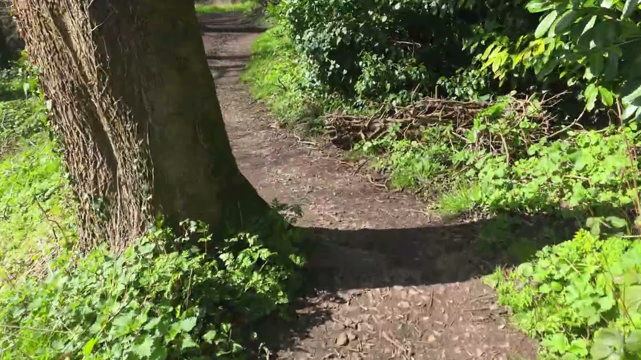 Experiencing the beauty of nature in its unaltered form.