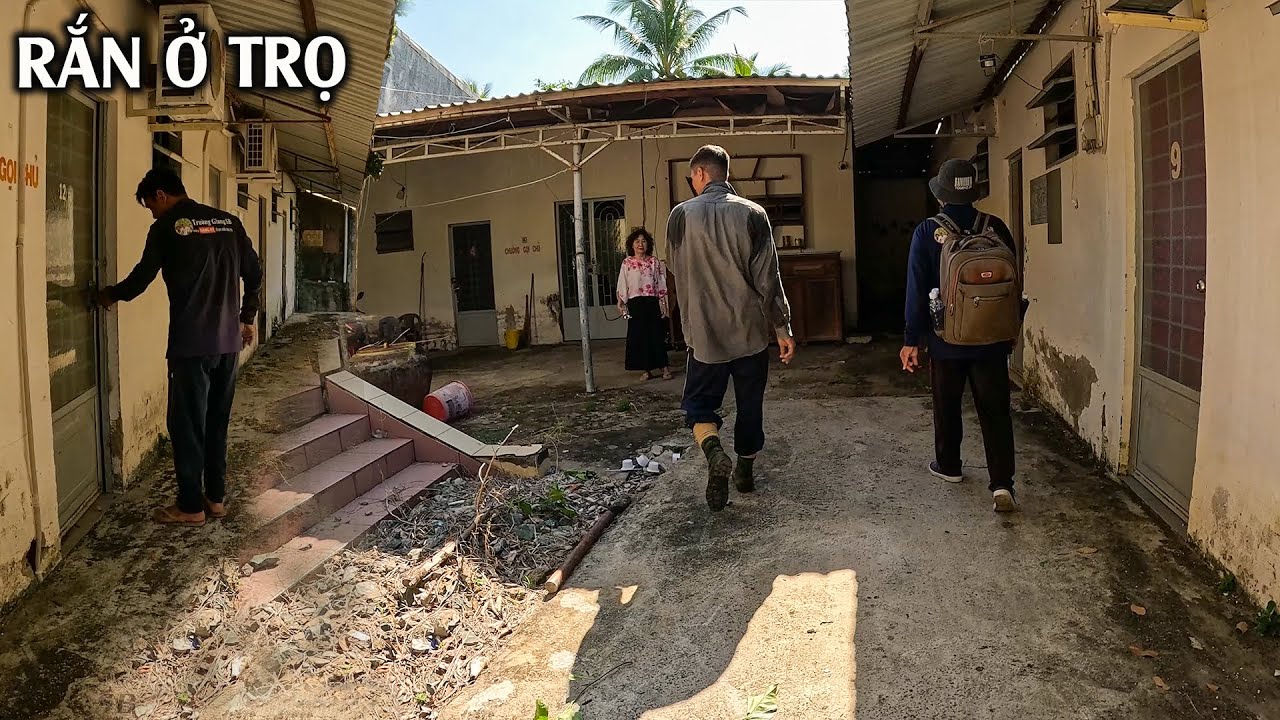 Giúp Cô Bắt Con Rắn Đang Ở Trong Dãy Nhà Trọ | TGSB #1129