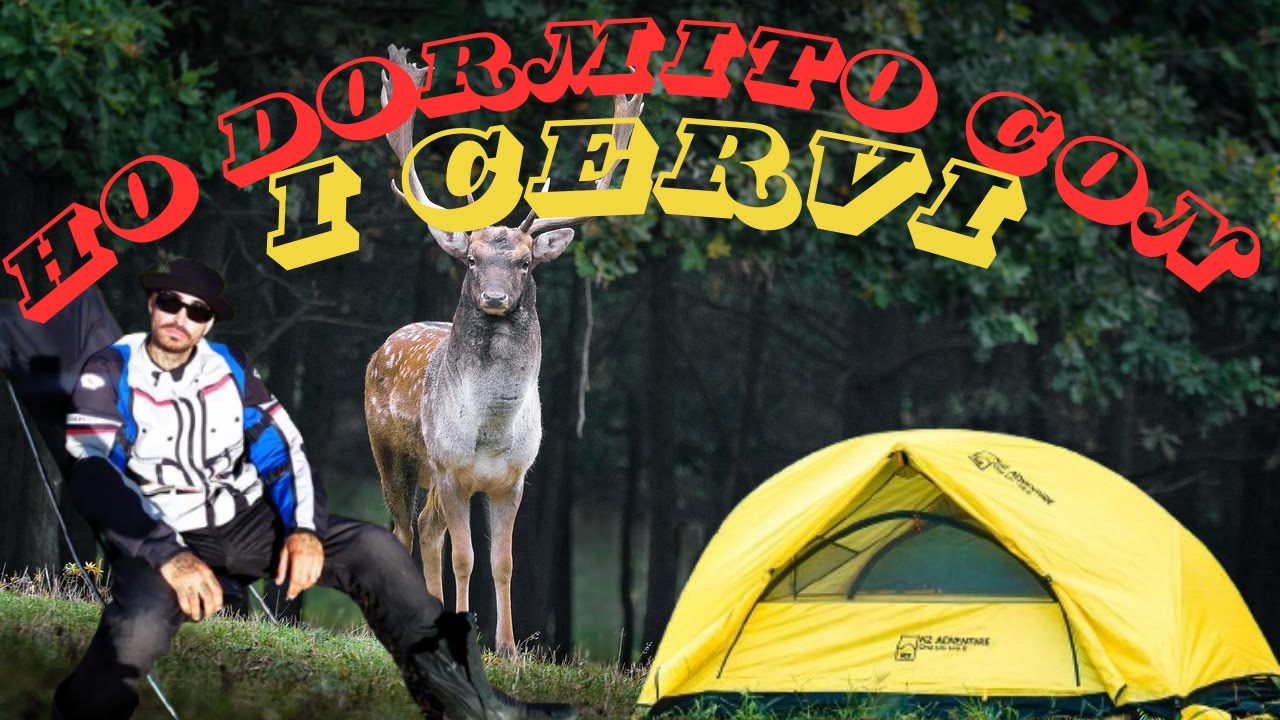 Dormire con i cervi nei boschi d'Abruzzo | Avventura in moto e campeggio selvaggio