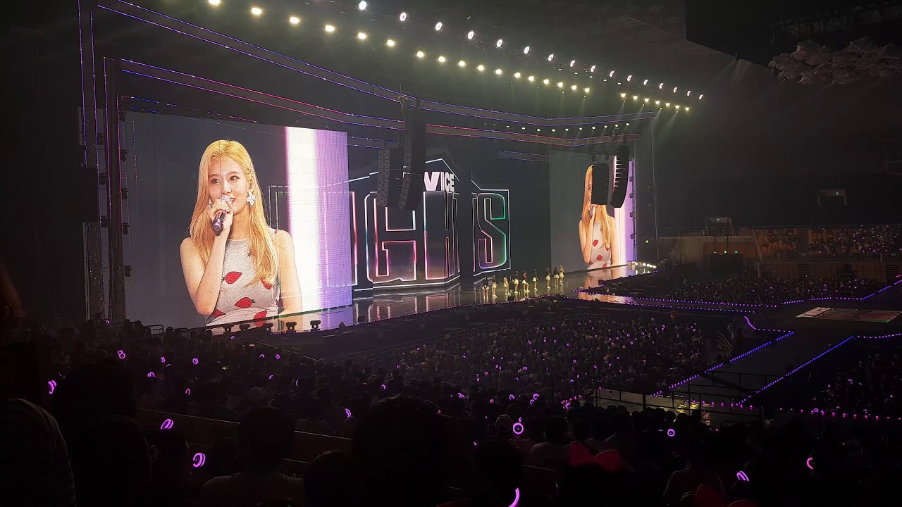 Minatozaki Sana (TWICE Concert)
