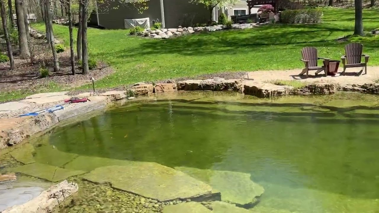 How a Natural Recreation Swim Pond works