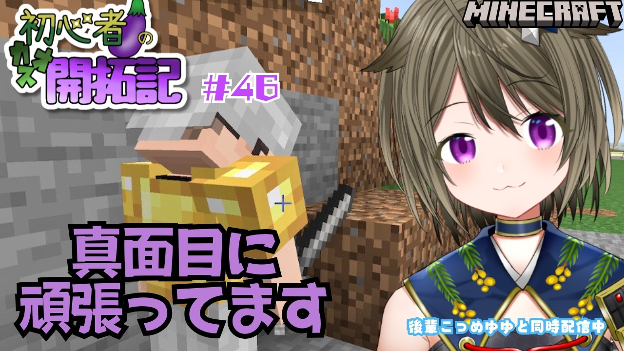 【マイクラ】初心者🍆のカオス開拓記（保護者付き）#46