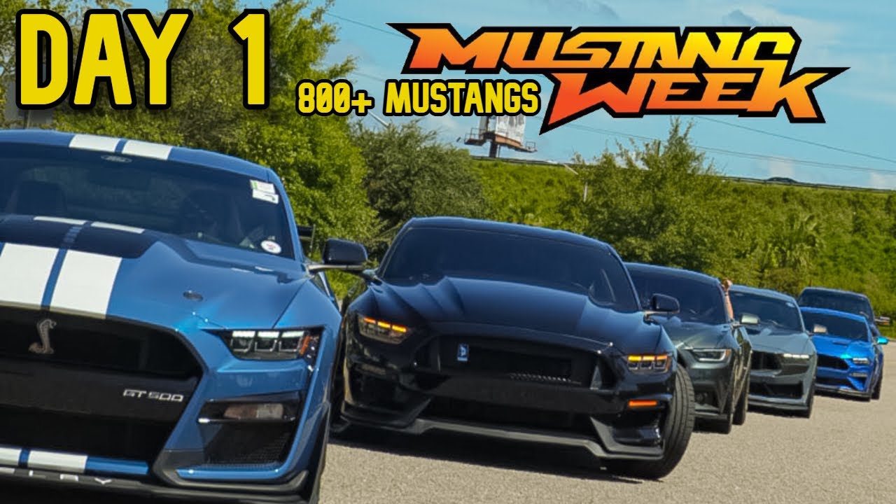 Mustang Week 2025 Day 1 | 800+ Mustangs Take Over The Landing at the Boathouse!