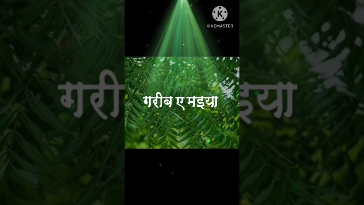 Devi pachra 'GEET'......        (nimiya ke dadhiya) #geet #devigeet #devipachra #durgawati