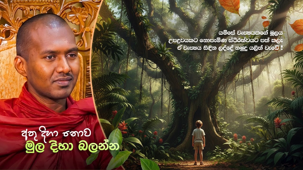 මුල තිබුණොත් දළුලනවා ! 🌳
