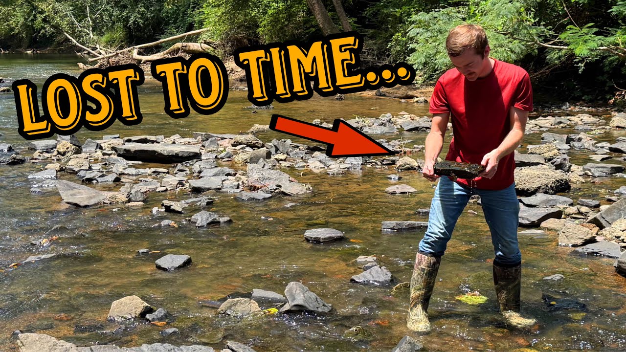 Uncovering the secrets of Alabama's prehistoric RAINFORESTS!