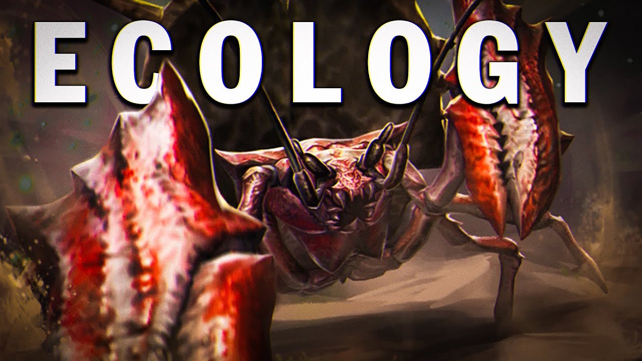 The Hermitaur, Ceanataur & Shen Gaoren | Monster Hunter Ecology (Re-release)