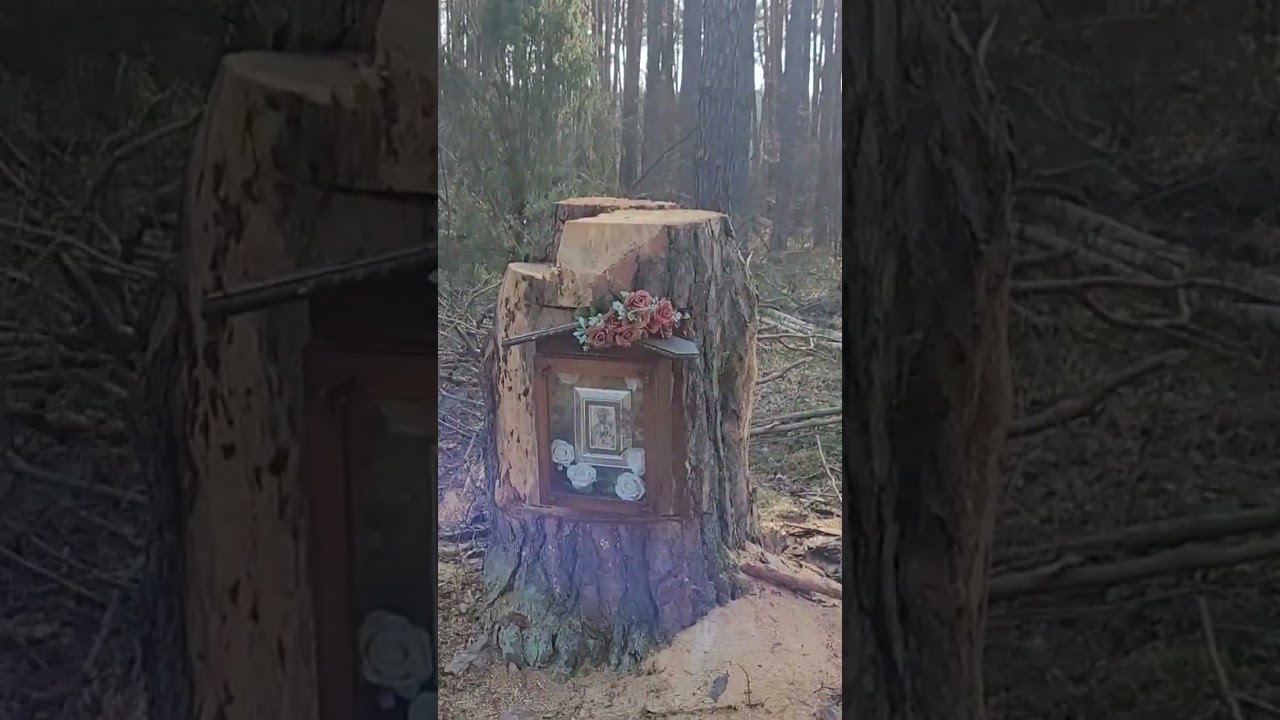 Znalazłem ukrytą kapliczkę w lesie! Szok w Tocznabieli