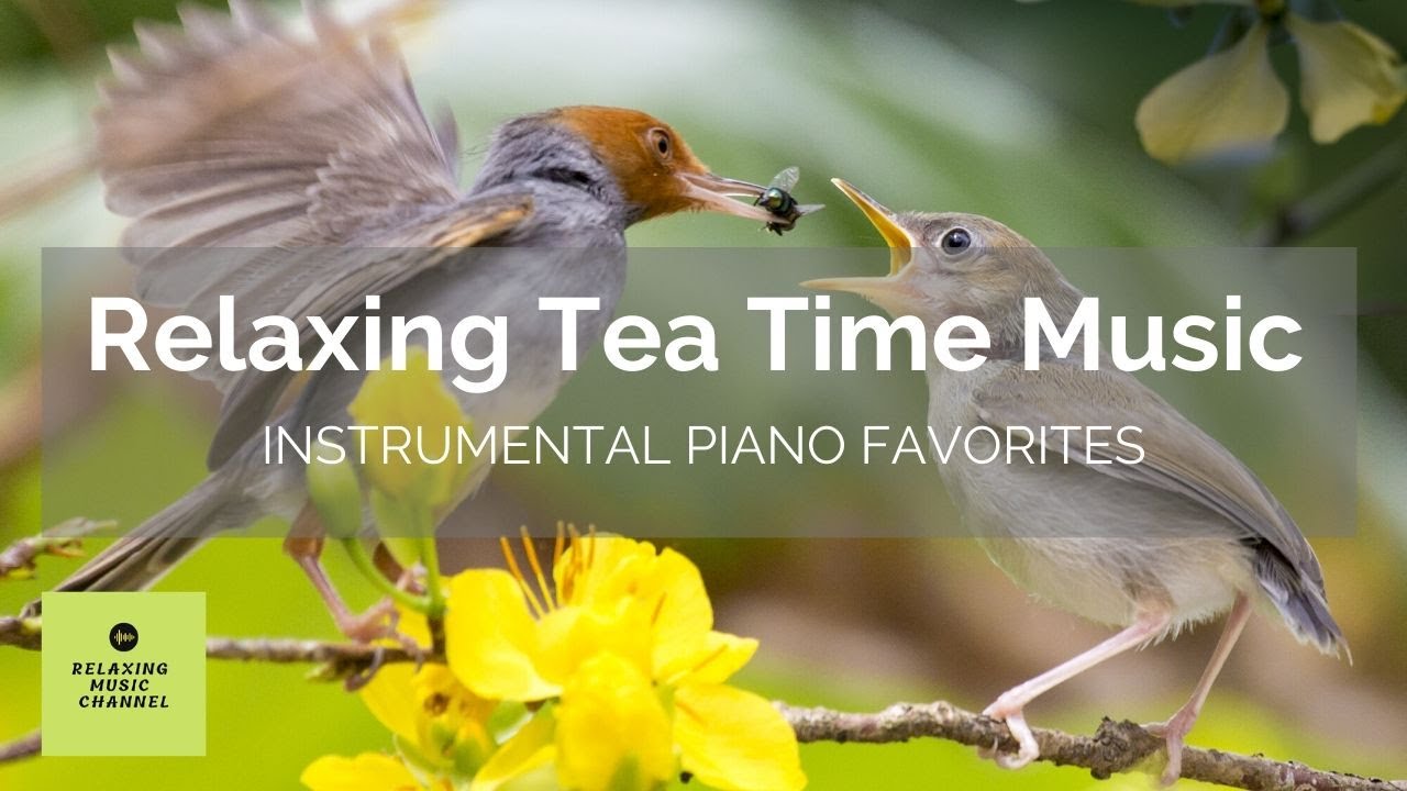 Relaxing Tea Time Music | Instrumental Piano Favorites