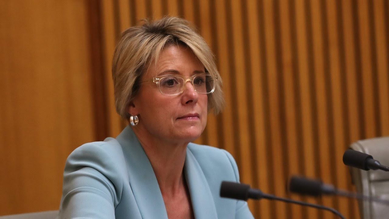 Bettina Arndt's comments on murdered Brisbane mother and children was 'reckless'