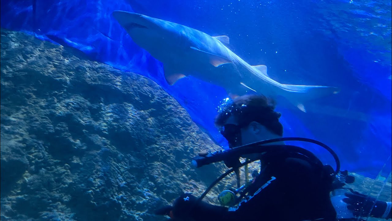 Scuba Diving AQUA