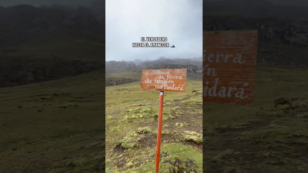 El Real ✨🗻 
