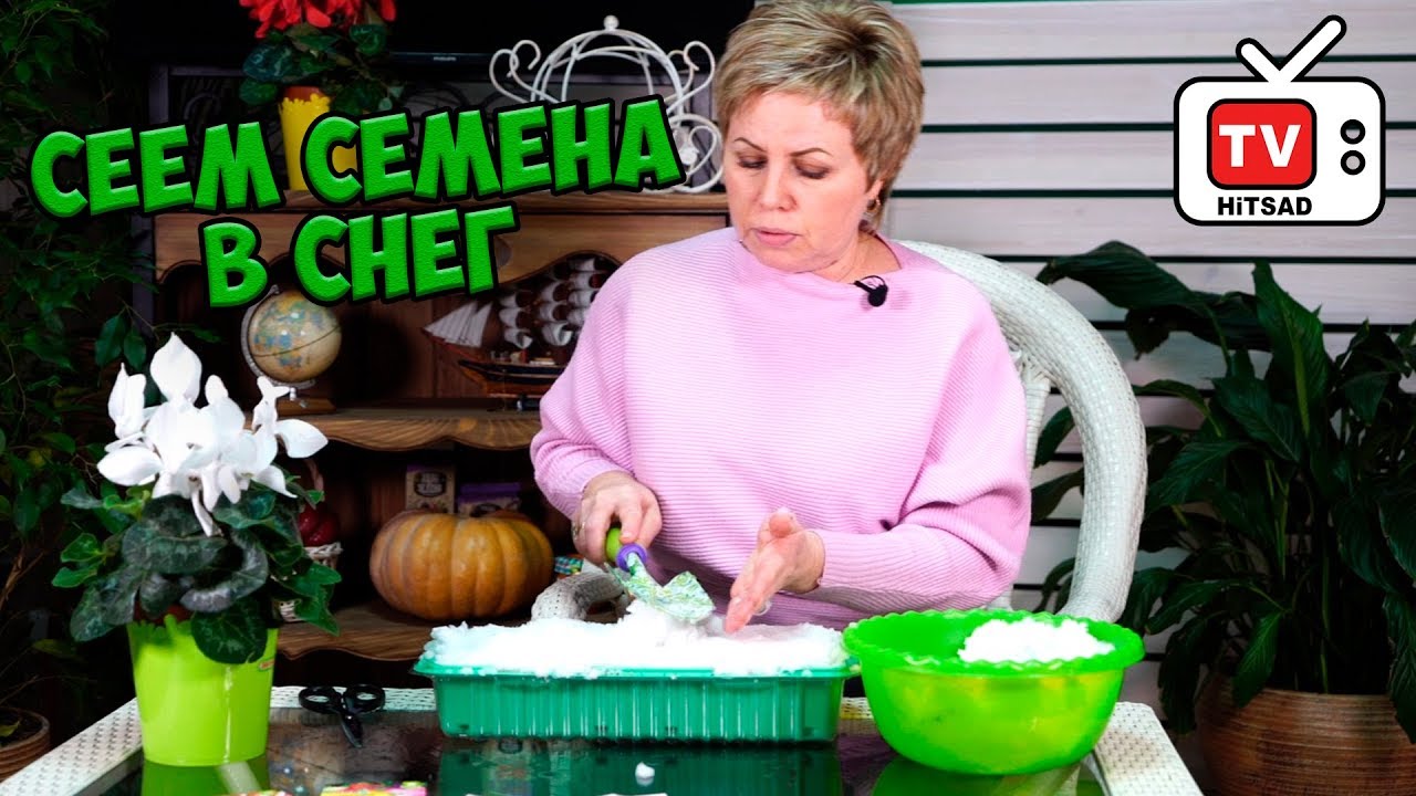 Самый эффективный способ посадки мелких семян 🌟 Посадка семян в снег 🌟 Мастер класс в прямом эфире