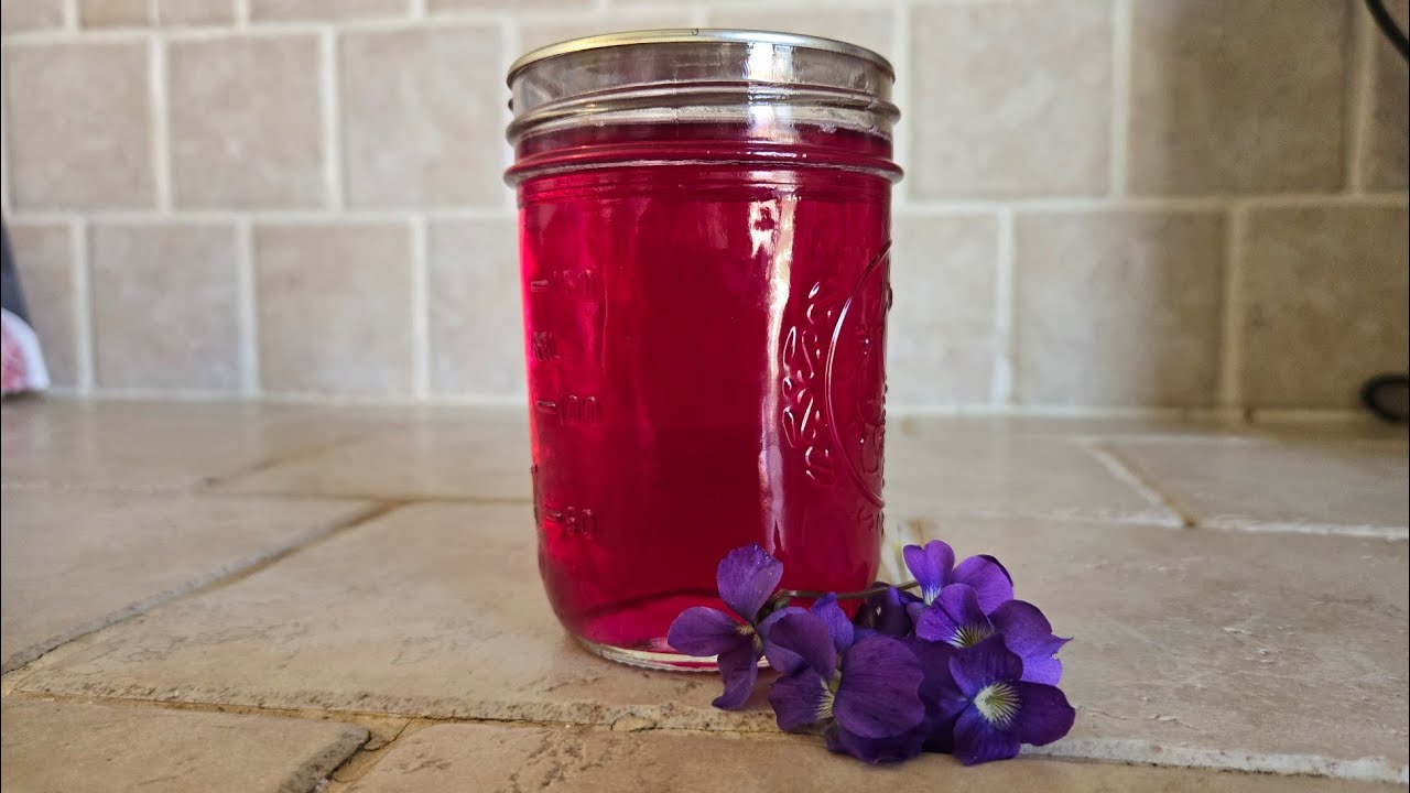 Wild Violet Jelly~ EASY to Make and Delicious