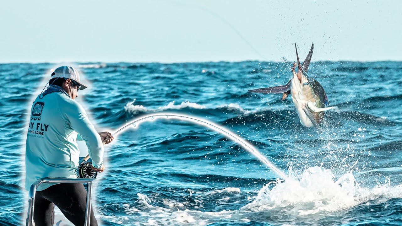 Como Pescar Marlin con Mosca y al troleo / Pesca en Puerto Vallarta