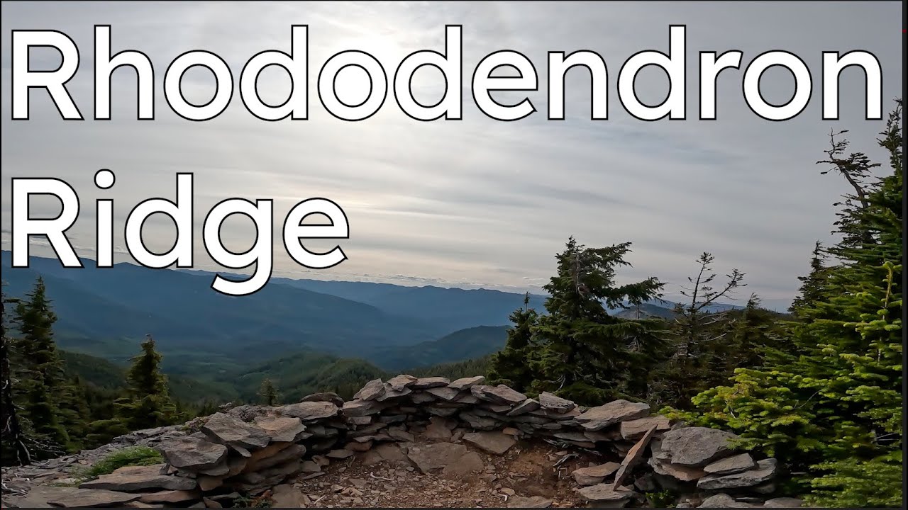 The Next Falls Creek? A hidden gem in the Mt. Hood National Forest.
