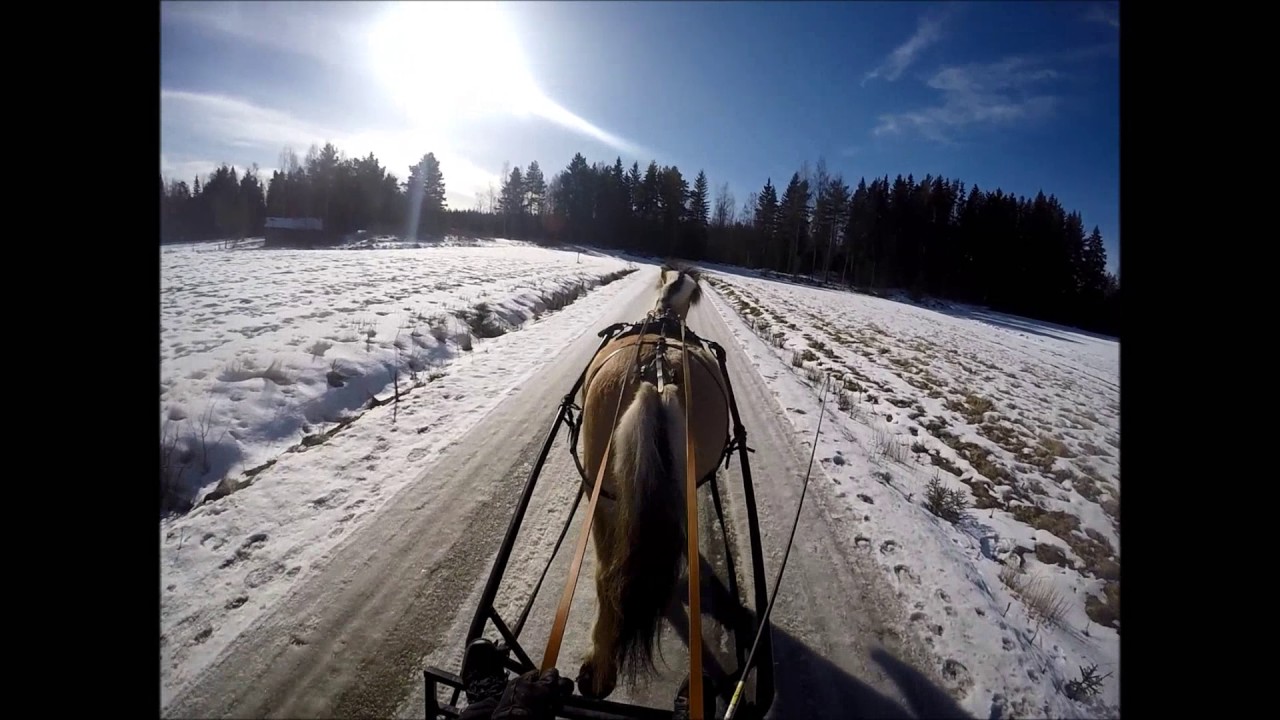 Tuhma Iitu