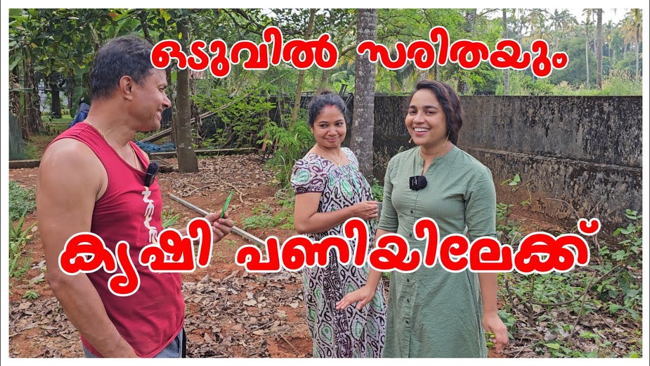 ഇനി സരിതക്ക് രക്ഷയില്ല 🥦🥦🥦/Agriculture /Krishi /Vegetable Harvest /Village vlog /Agriculture tips