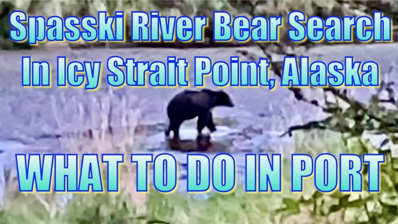 Spasski River Bear Search in Icy Strait Point, Alaska