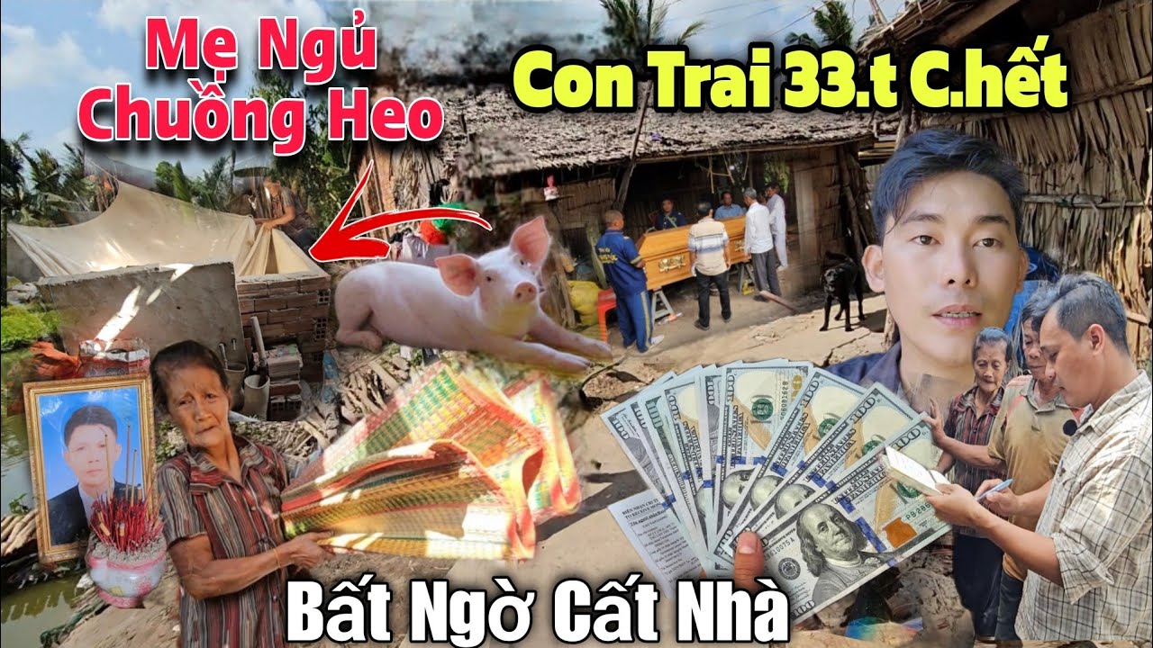 Sự Cố, Con Trai 33.t Mất Mẹ Ngủ Chuồng Heo Bất Ngờ Được MTQ Cất Nhà Mới..