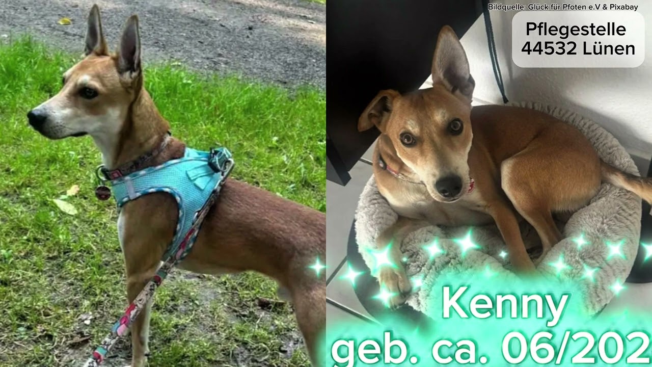 Niemand hat sie vermisst. Aber sie fühlen alles. 💔