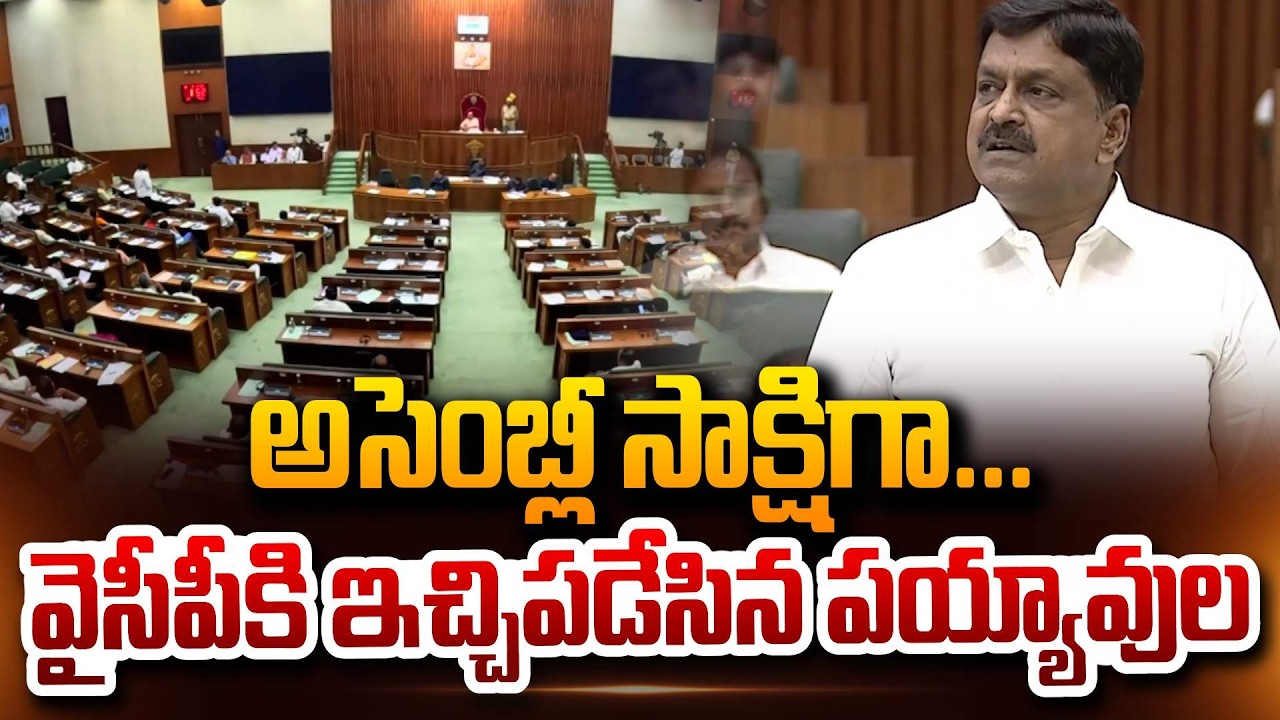 అసెంబ్లీ లో వైసీపీకి ఇచ్చిపడేసిన పయ్యావుల | Minister Payyavula Keshav Fires on YCP & YS Jagan