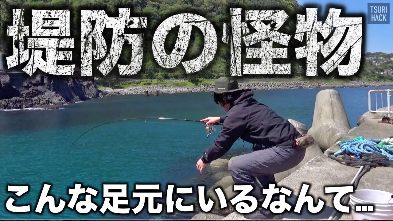 釣り初心者にオススメな“超簡単仕掛け”で、足元の怪物を狙ってみたら…