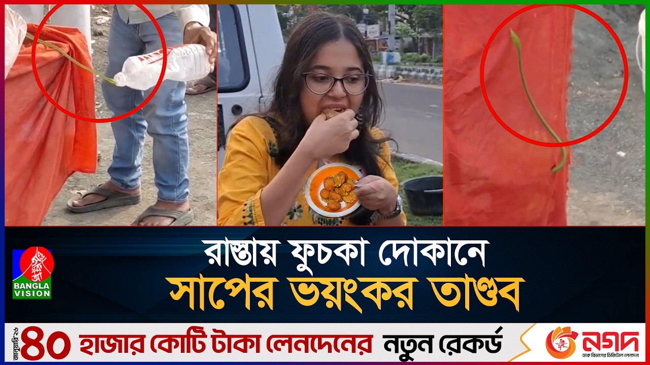 ফুচকার পাত্রে ভয়ংকর সাপ, রাস্তার ধারে ফুচকার নামে খাচ্ছেন কি? | Snake Candy Store