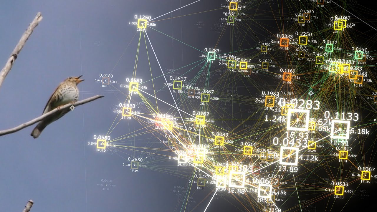 Visualizing Bird Songs: A Mathematical Model