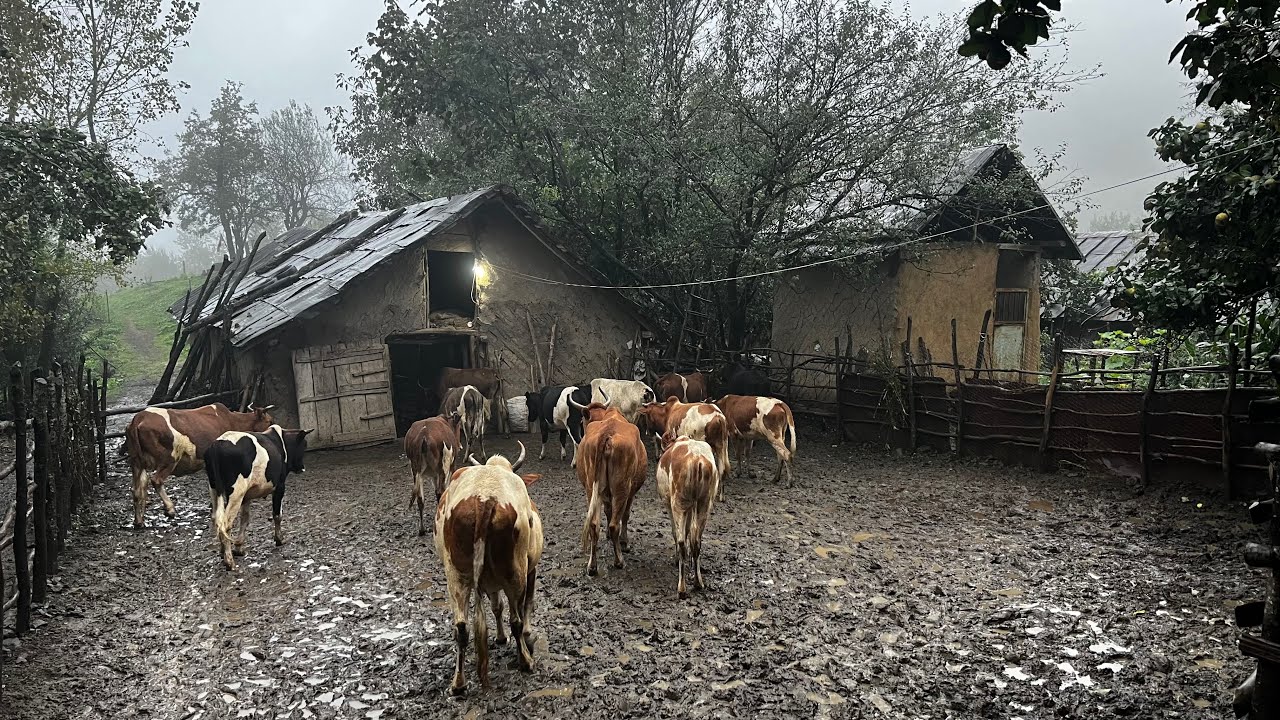 Baking Tandoor Bread with Our Neighbor & Caring for Farm Animals