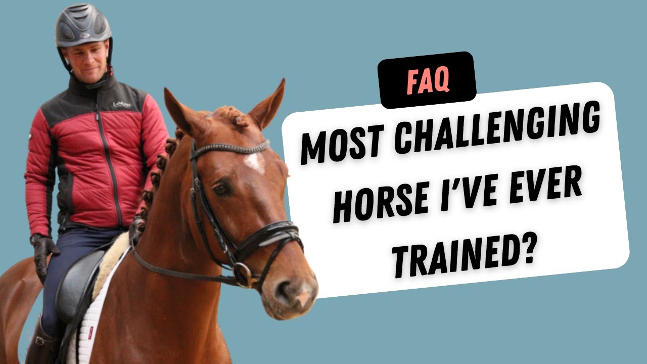 The most CHALLENGING horse Tristan got in for training?: TRT Podcast - Episode 3