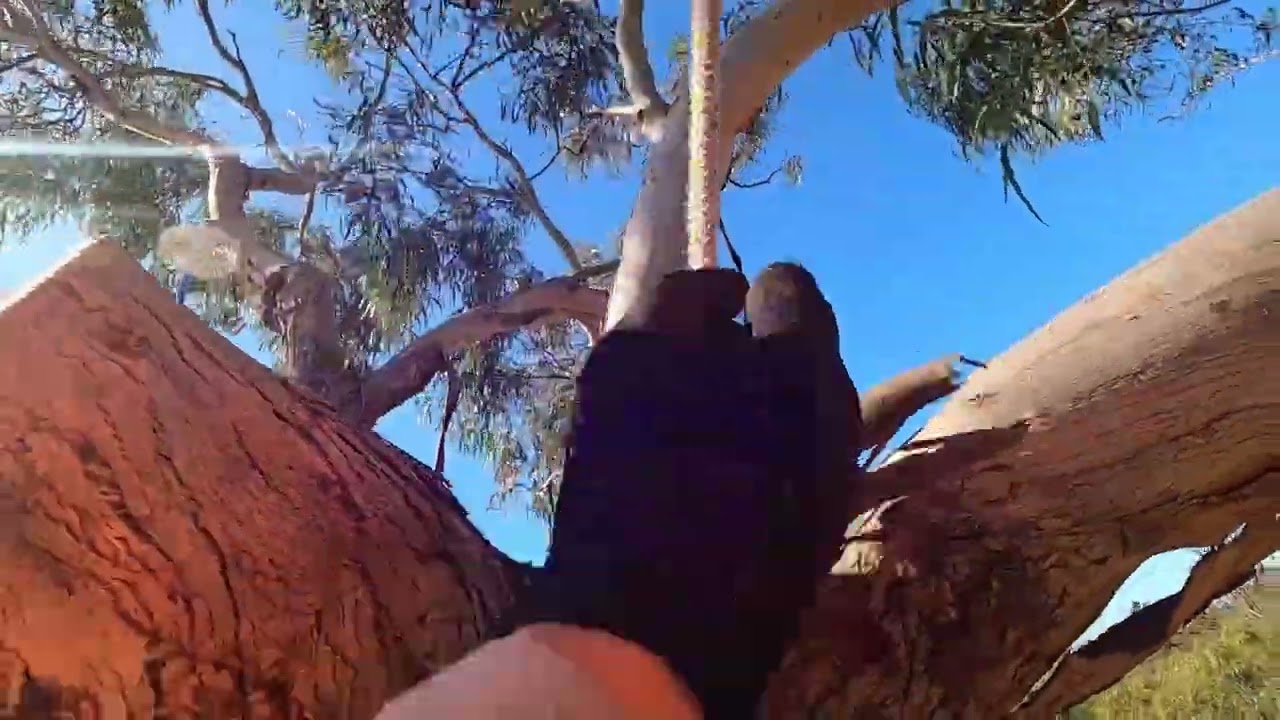 The Climbers