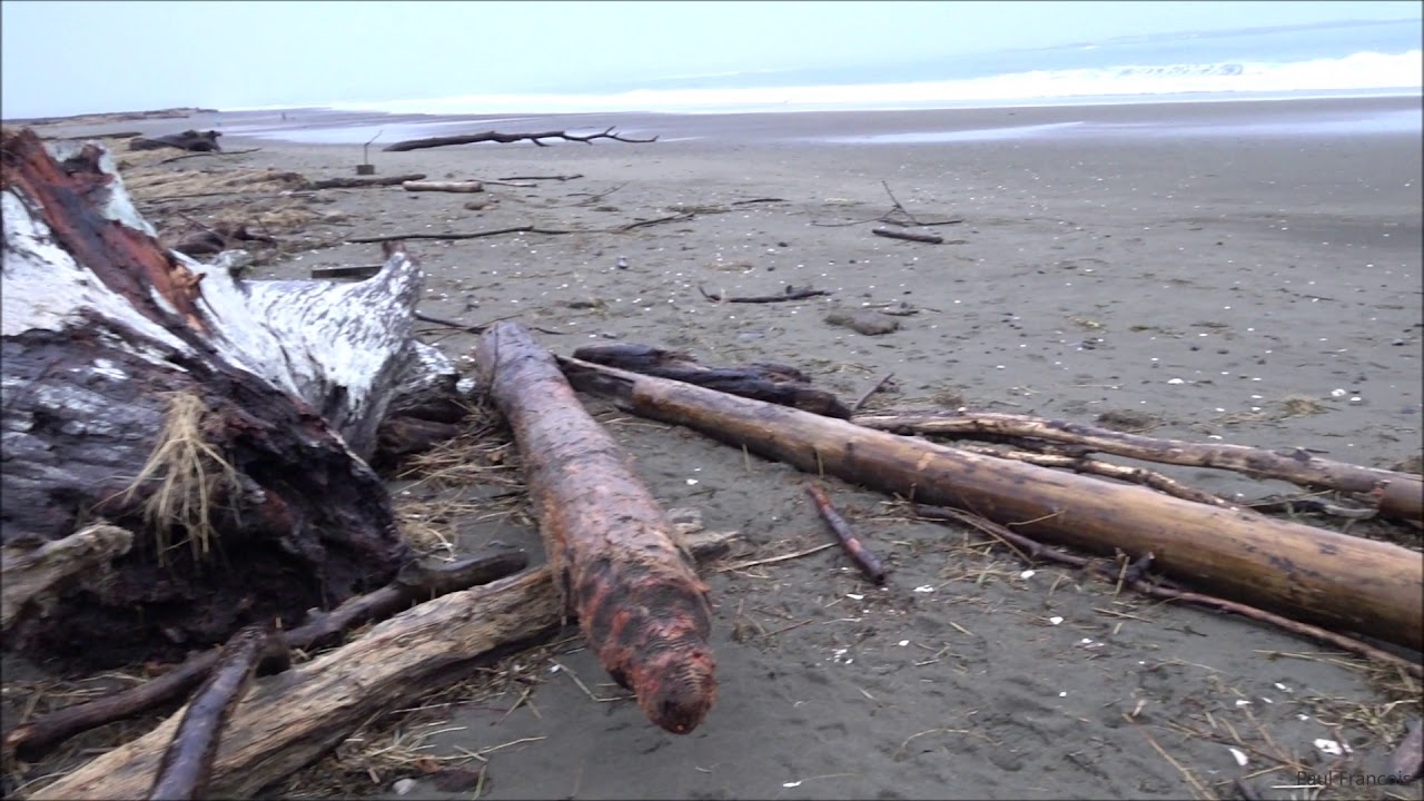 Ocean Shores, WA beach walk to look at Jasper, Agate, Nephrite, Jade and Jadeite.